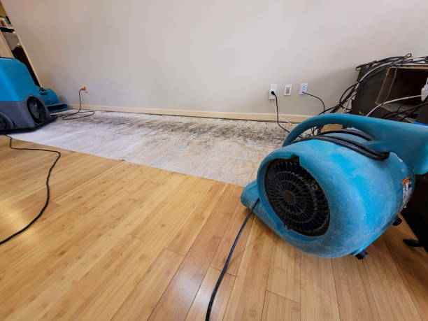 Professional Structural Drying technician working in Jonesboro, IN